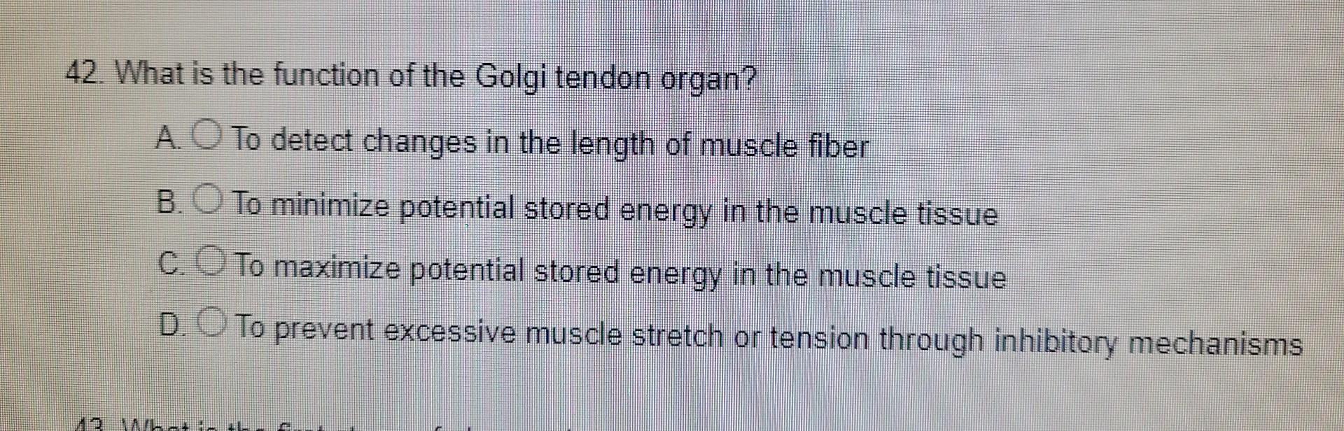 Solved 42. What is the function of the Golgi tendon organ? | Chegg.com