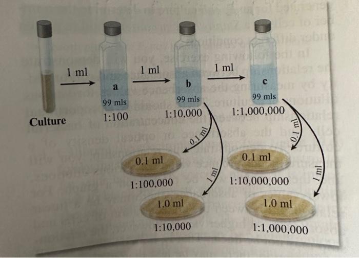 Solved Can someone please draw the dilutuon out like the | Chegg.com