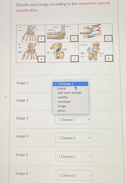 Classify each image according to the movement special classification.
image 1
image 2
image 3
image 4
image 5
image 6