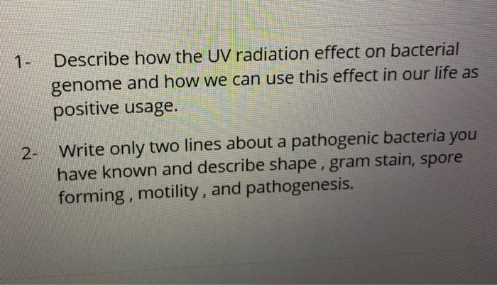 Solved Describe how the UV radiation effect on bacterial | Chegg.com