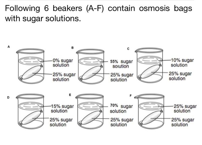 Solved Following 6 beakers (AF) contain osmosis bags with