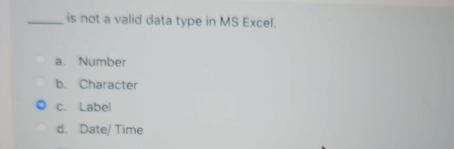 solved-is-not-a-valid-data-type-in-ms-excel-a-numberb-chegg