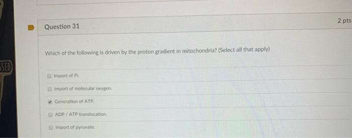 2 pts Question 31 Which of the following is driven by the proton gradient in mitochondria? (Select all that apply) SSED Impor