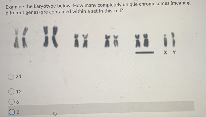 Solved Which image represents a homologous pair of | Chegg.com