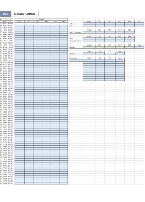 CAL and Efficient FrontierCAL 5-Stock Portfolio Min | Chegg.com