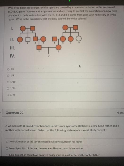 Solved Wild-type Tigers Are Orange. White Tigers Are Caused | Chegg.com
