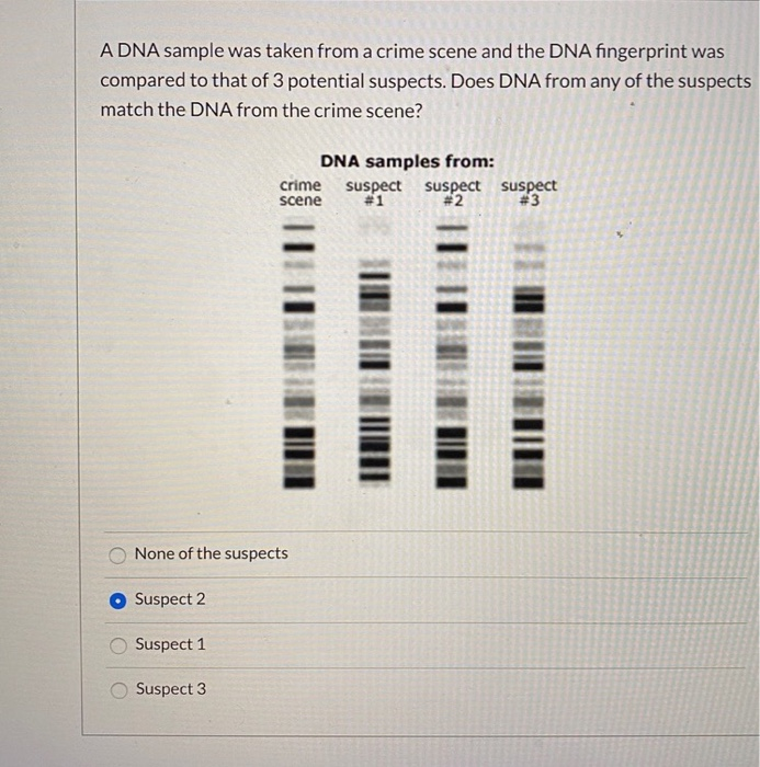 Solved A DNA sample was taken from a crime scene and the DNA | Chegg.com