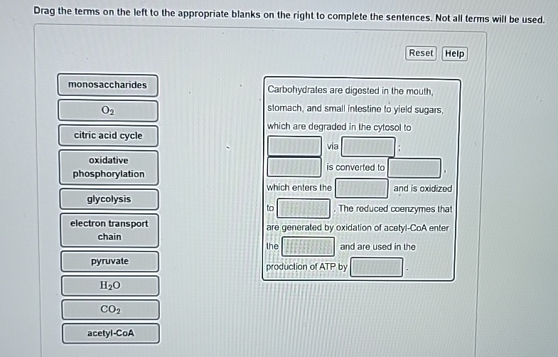 Solved Drag the terms on the left to the appropriate blanks | Chegg.com