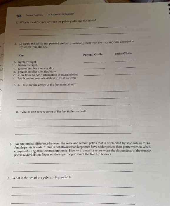 Solved 144 Review Section 7 The Appendicular Skeleton 1.