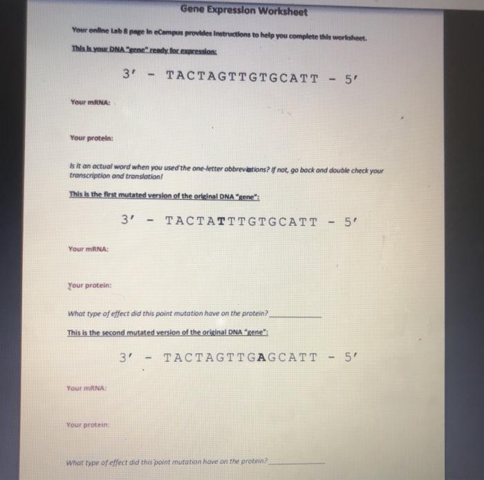 central-dogma-practice-worksheet