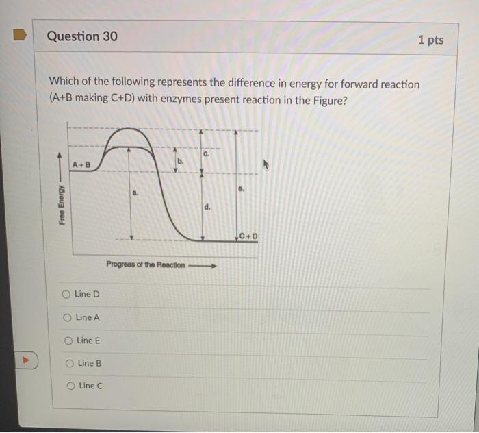 Solved Question 30 1 pts Which of the following represents | Chegg.com