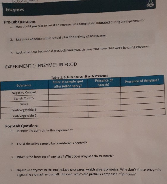 Solved e Enzymes PreLab Questions 1. How could you test to