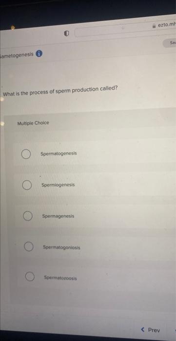process of production of sperm is called