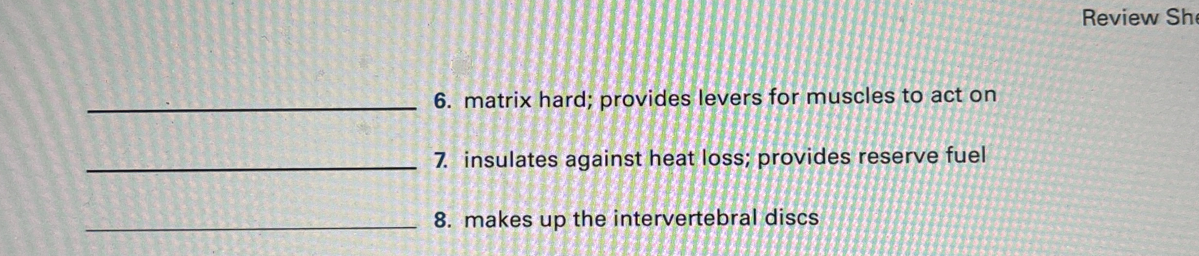 Solved Review6. ﻿matrix hard; provides levers for muscles to
