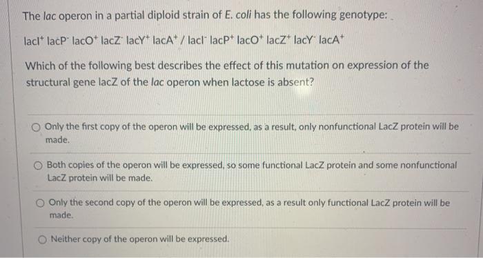 Solved The lac operon in a partial diploid strain of E. coli | Chegg.com