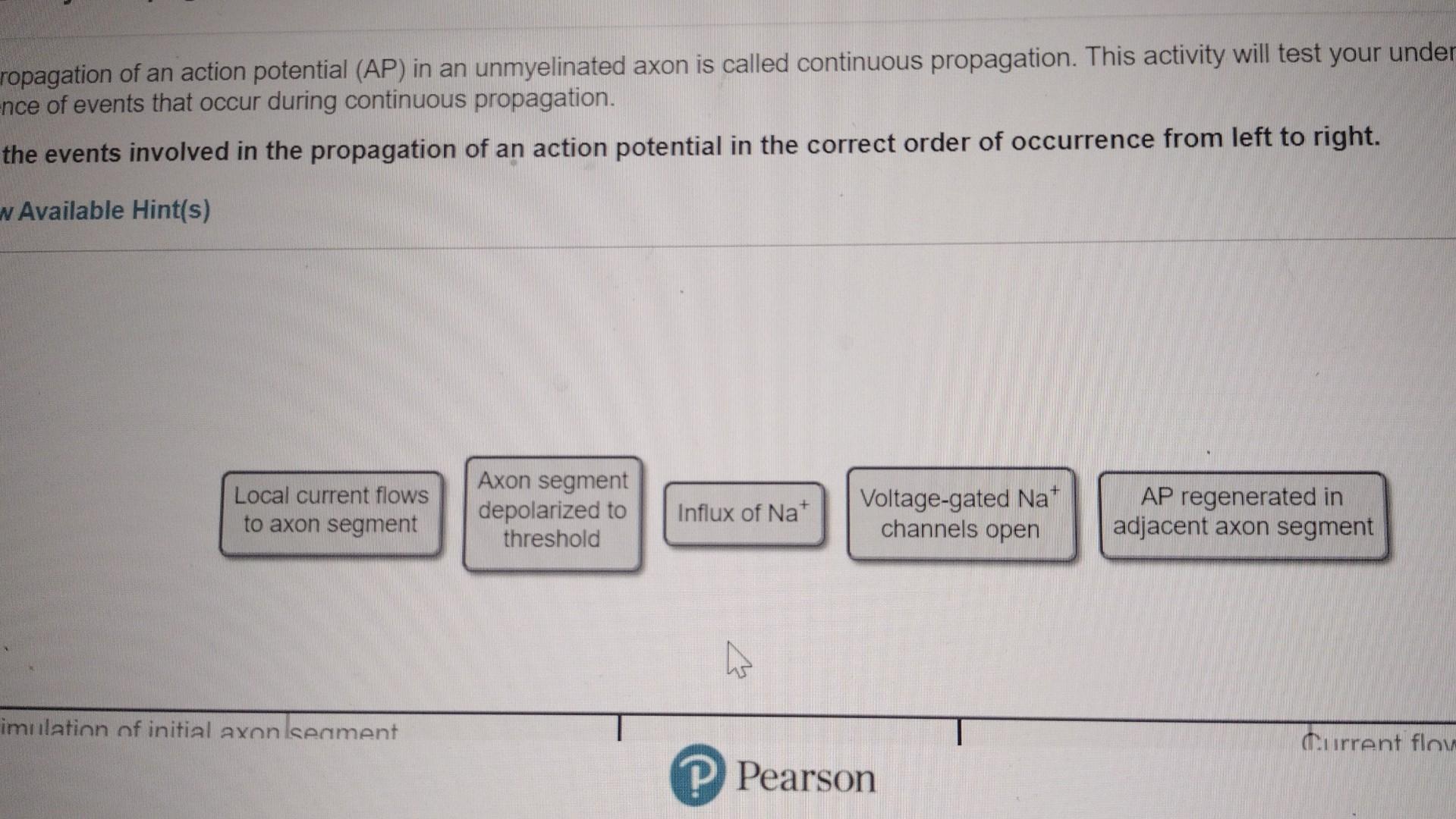 Solved Ropagation Of An Action Potential AP In An Chegg solved-ropagation-of-an-action-potential-ap-in-an-chegg