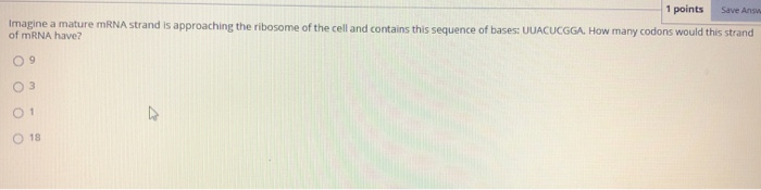 Solved 1 points Save As Imagine a mature mRNA strand is | Chegg.com