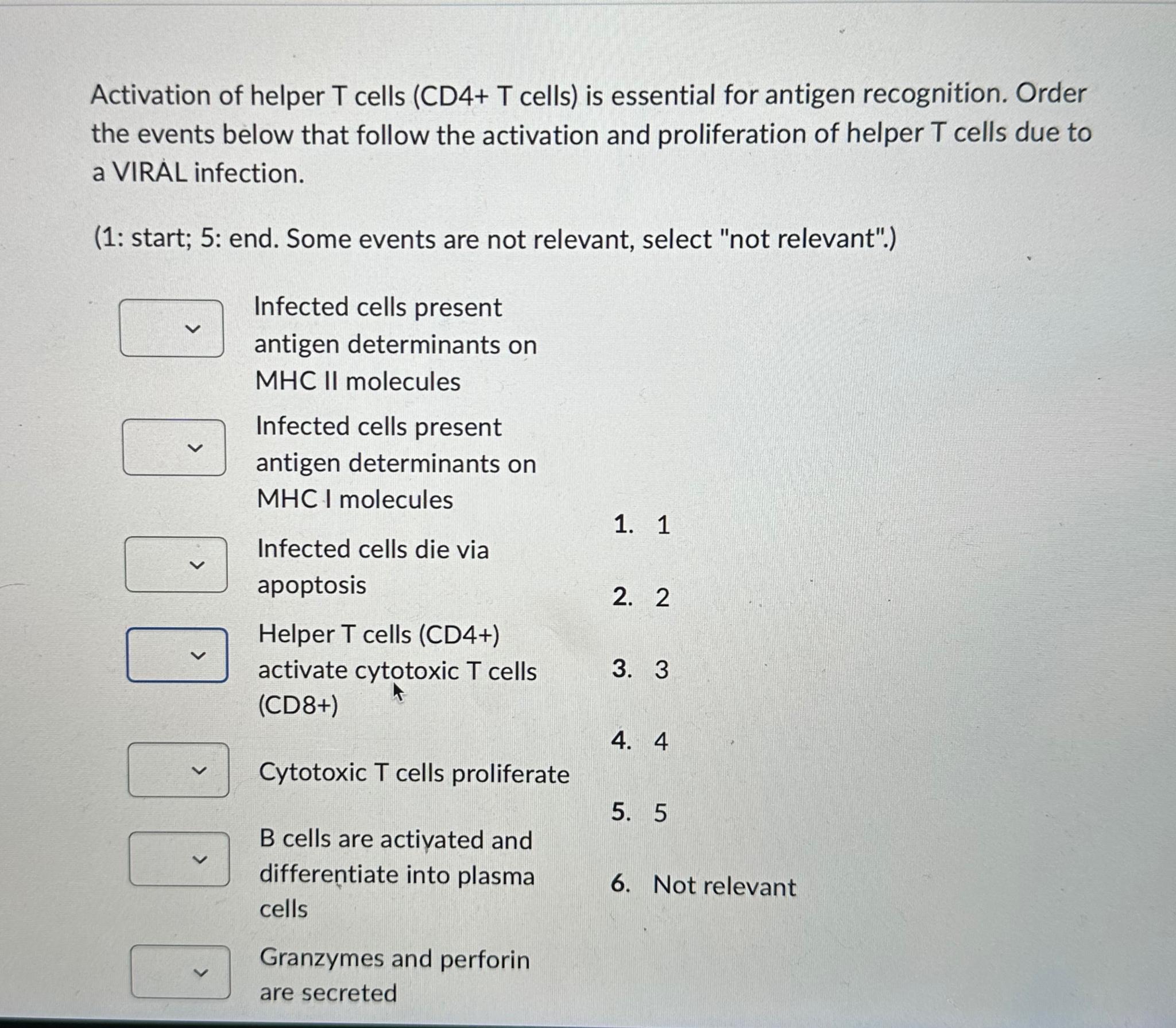 t helper cells activation