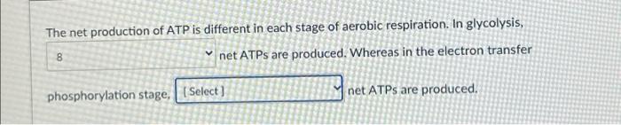 Solved The net production of ATP is different in each stage | Chegg.com