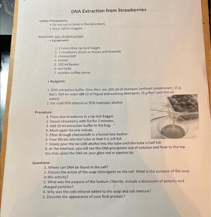 Solved DNA Extraction from Strawberries Safety Precautions: | Chegg.com