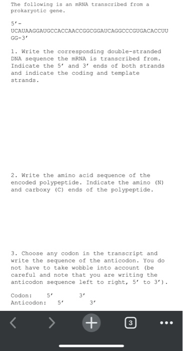 Solved The following is an mRNA transcribed from a | Chegg.com