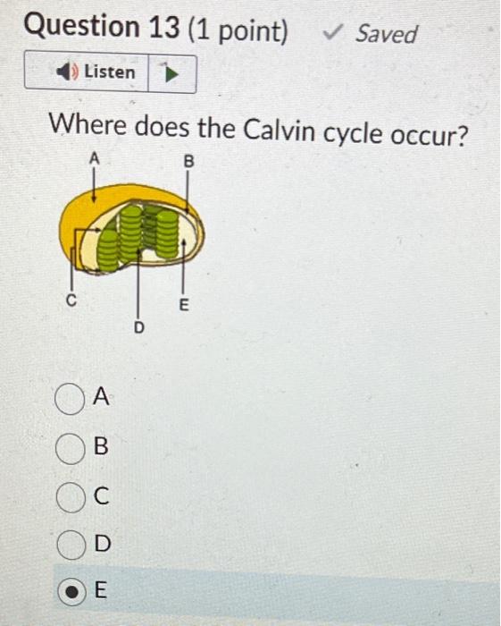 solved-where-does-the-calvin-cycle-occur-a-b-c-d-chegg