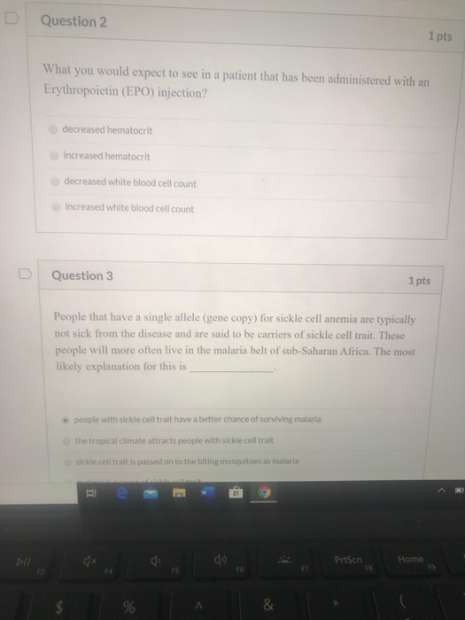 Solved Question 2 1 pts What you would expect to see in a | Chegg.com