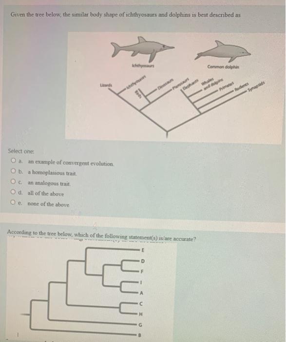 Solved Animals are most closely related to which major | Chegg.com