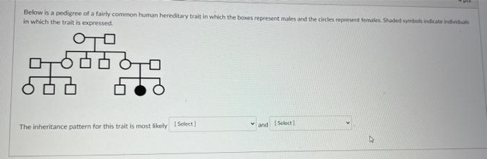 Solved Below is a pedigree of a fairly common human | Chegg.com