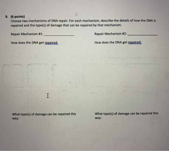 Solved 9. (6 points) Choose two mechanisms of DNA repair. | Chegg.com