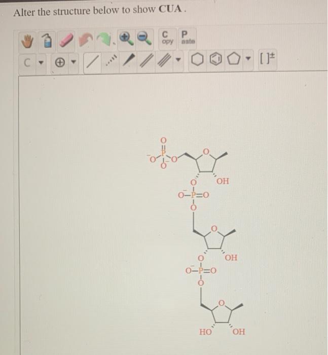 Solved Alter the structure below to show CUA. С P opy este | Chegg.com