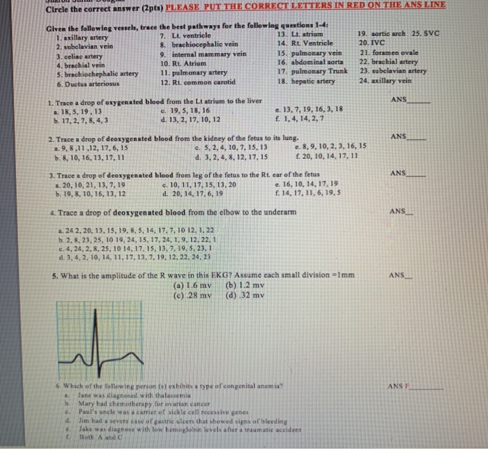 Solved Circle the correct answer (2pts) PLEASE PUT THE | Chegg.com