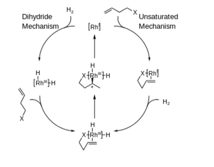 Solved Rh Catalyst-substrate Complex No Rh S Solvate Complex | Chegg.com