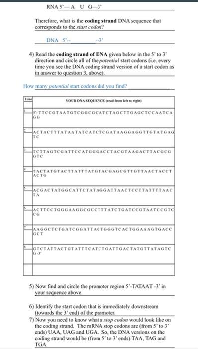 Solved ASSIGNMENT 1) For the DNA sequence given below. write | Chegg.com