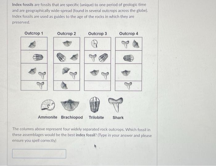 Solved Index Fossils Are Fossils That Are Specific (unique) | Chegg.com ...