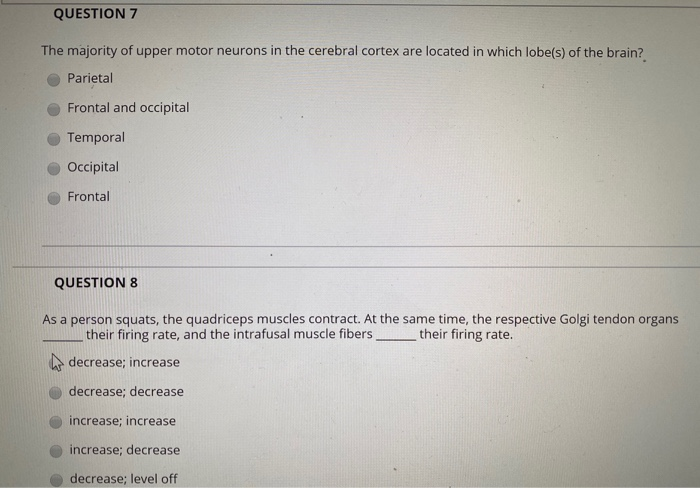 Solved QUESTION 7 The majority of upper motor neurons in the | Chegg.com