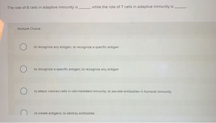 Solved The role of B cells in adaptive immunity is _. while | Chegg.com