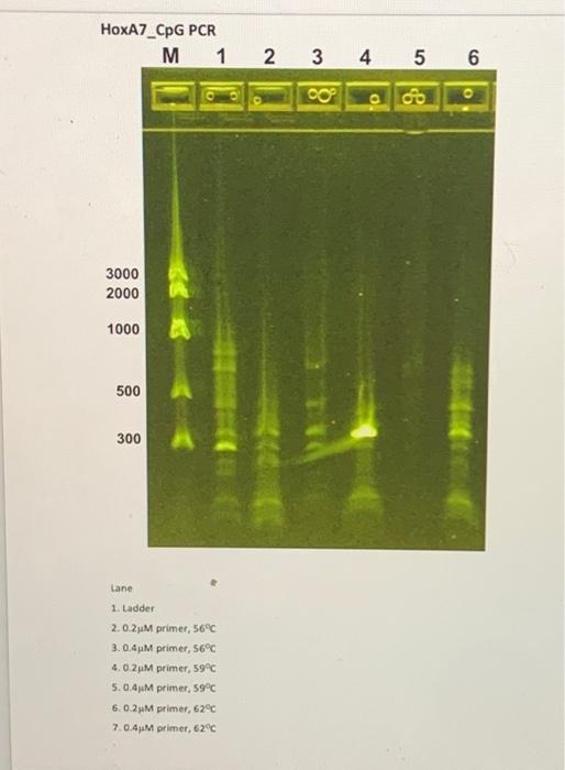 student submitted image, transcription available below