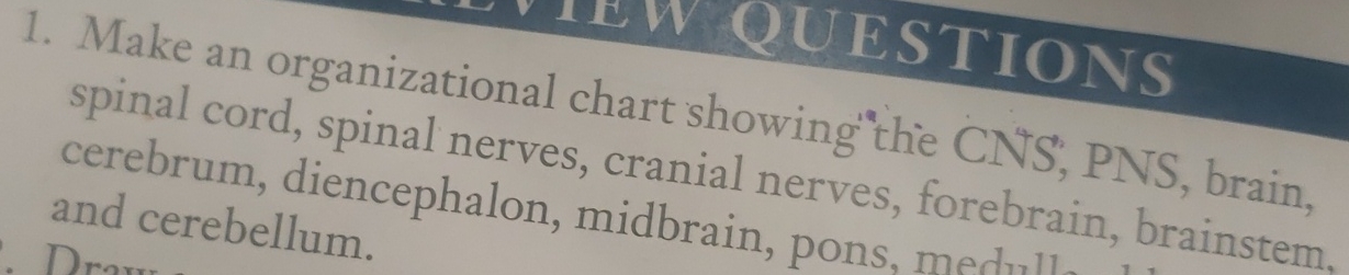 Solved Make an organiz spinal cord, spinal nerves chart | Chegg.com