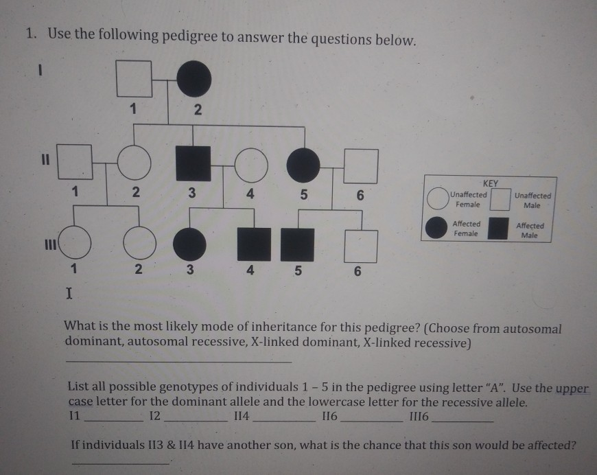 Solved 1. Use the following pedigree to answer the questions | Chegg.com