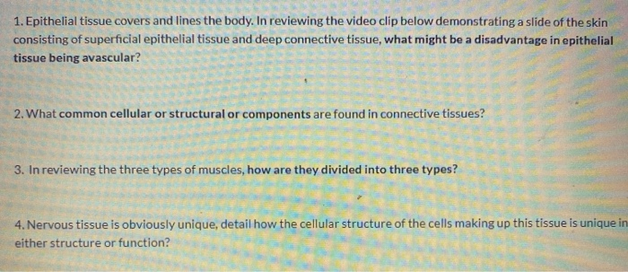 Solved 1. Epithelial tissue covers and lines the body. In | Chegg.com