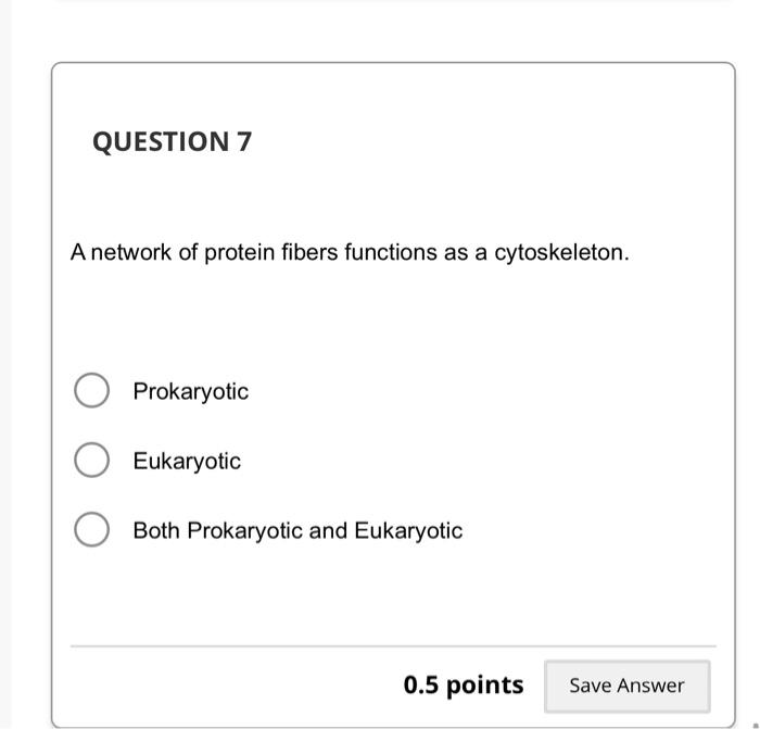 A network of protein fibers functions as a cytoskeleton.
Prokaryotic
Eukaryotic
Both Prokaryotic and Eukaryotic