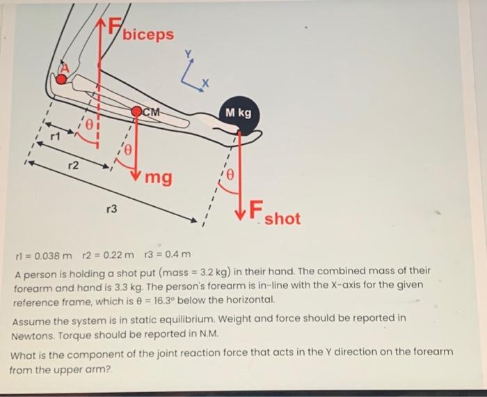 22F calculator says I'm 28D I always thought I was too small for even an A  cup. What's going on ? : r/ABraThatFits