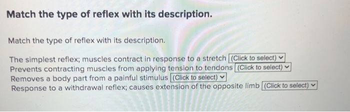 Solved Match the type of reflex with its description. Match | Chegg.com