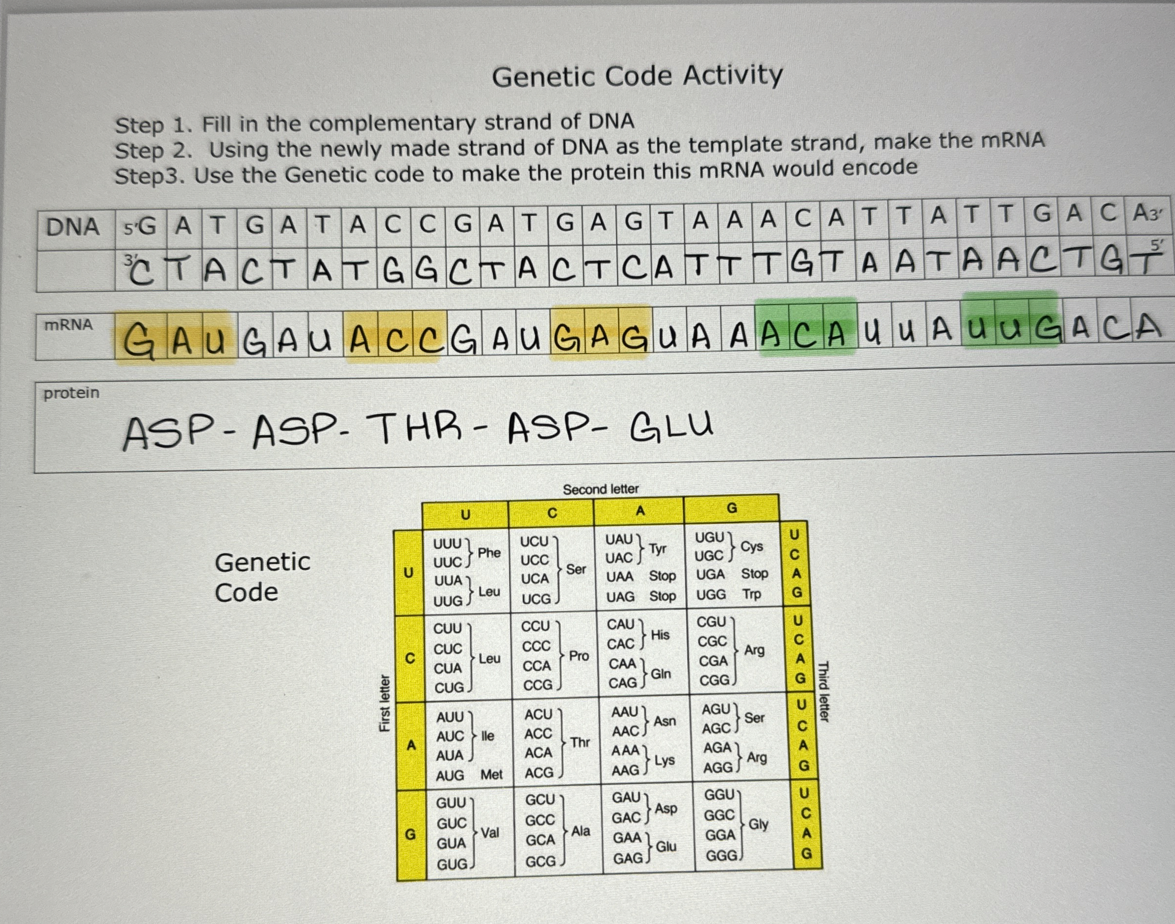 [Solved]: Genetic Code Activity Step 1. Fill in the compleme