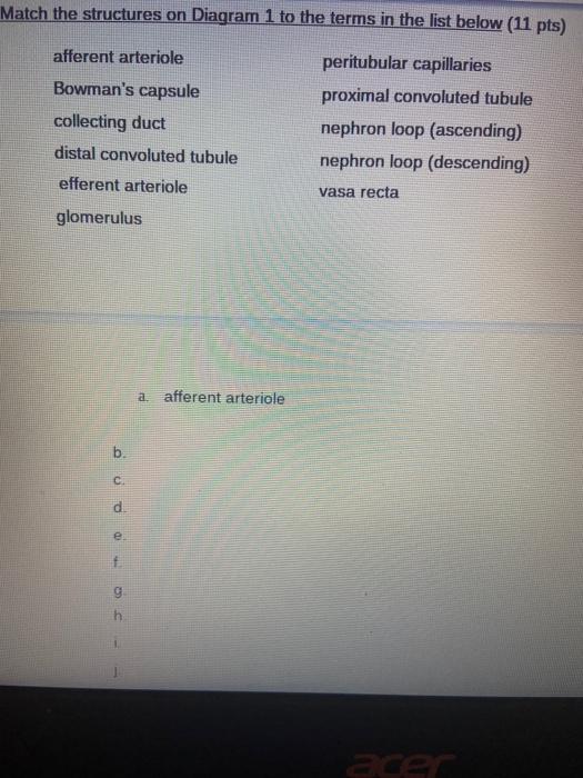 Solved Diagram 1 b. h. Match the structures on Diagram 1 | Chegg.com