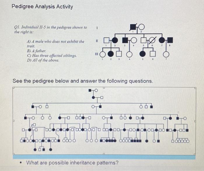 Solved Pedigree Analysis Activity Q1. Individual II-5 in the | Chegg.com