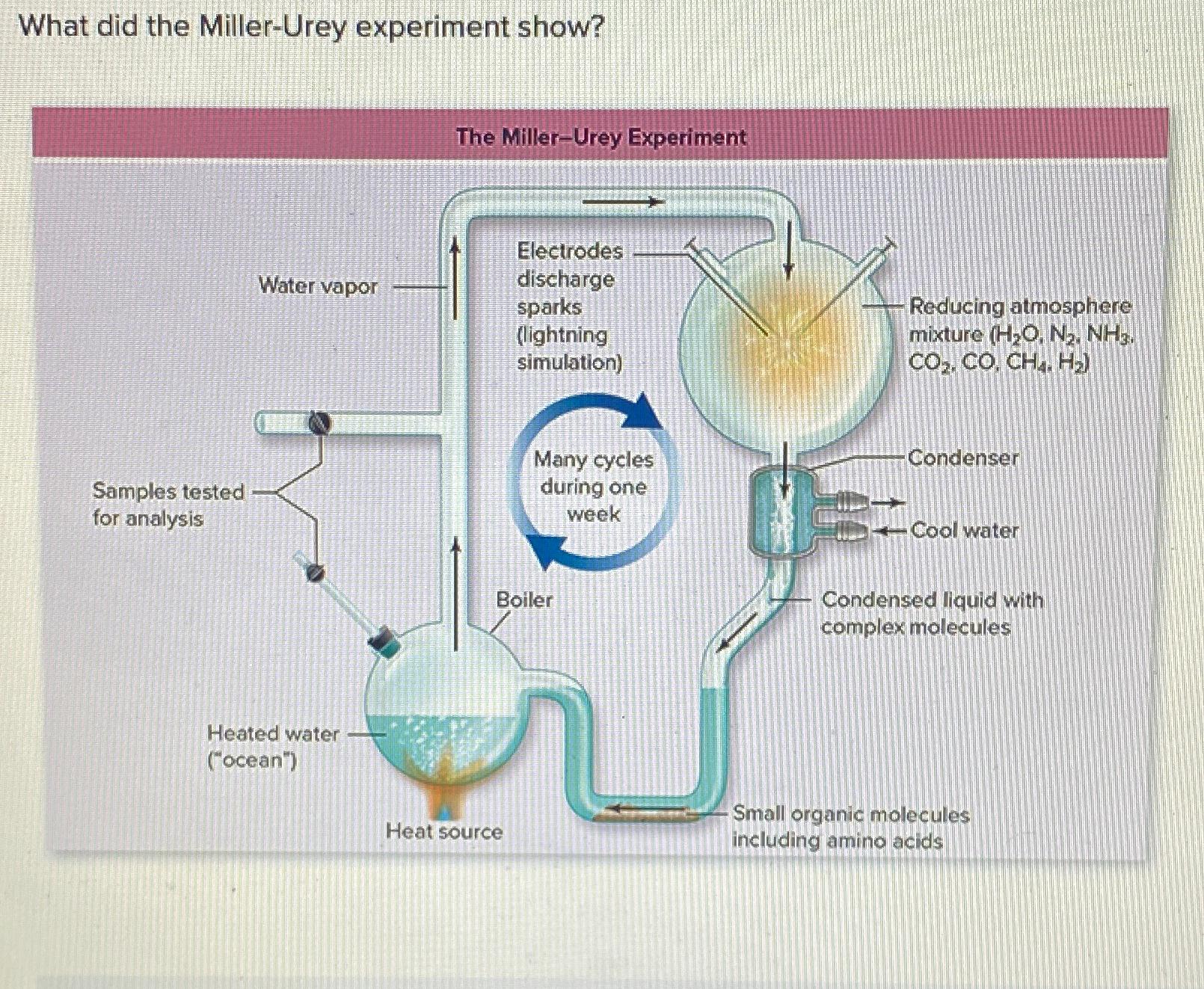 Solved What Did The Miller-Urey Experiment Show?The | Chegg.com