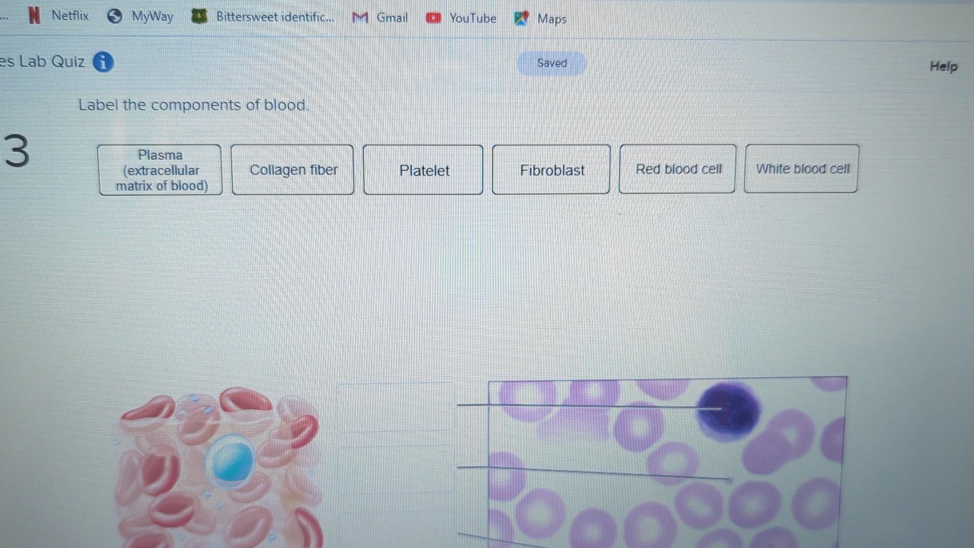 Label the components of blood.