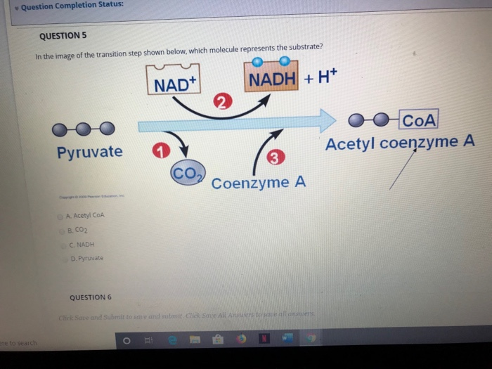 Solved Question Completion Status: QUESTION 5 In the image | Chegg.com